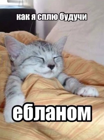 какя сплю будучи