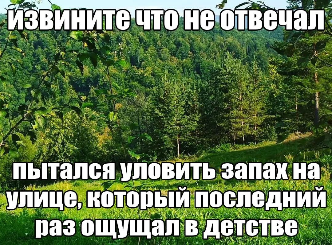 val HE отвеча пытался уловить запах ‘улице, который последний раз ощущал детстве.