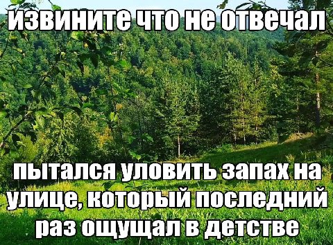 val HE отвеча пытался уловить запах ‘улице, который последний раз ощущал детстве.