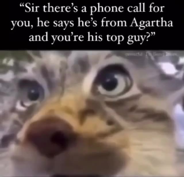 “Sir there’s a phone call for