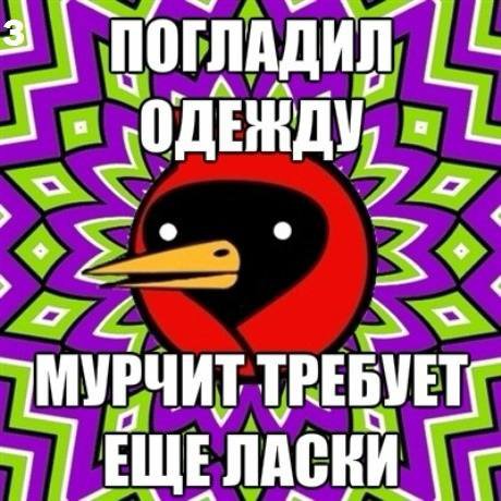 УРЧИТ ТРЕБУЕТ ЕЩЕ ЛАСКИ