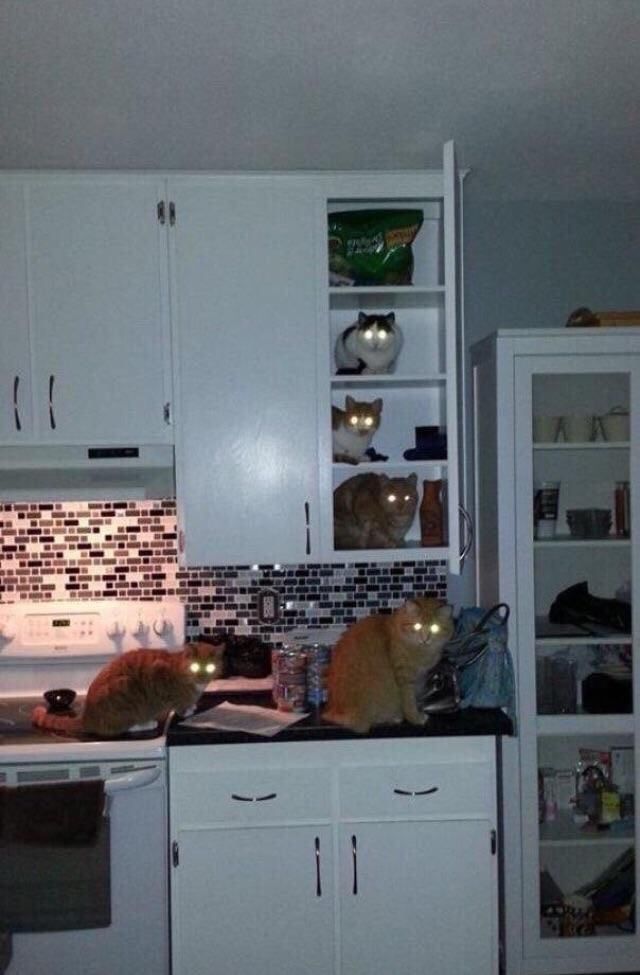 у
