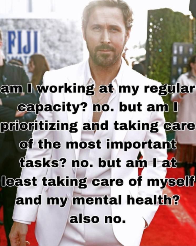 working at my regular Capacity? but and taking care of the most important tasks? no. but lat least taking care of myself and my mental health?) no.