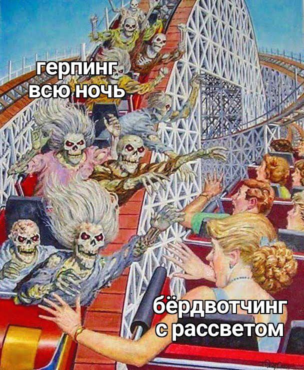 и A 1 34 AN НА at het бердвотЧИнг рассветом я