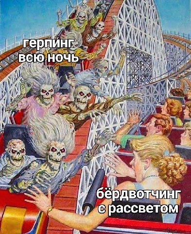 и A 1 34 AN НА at het бердвотЧИнг рассветом я