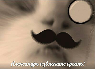 извлеките