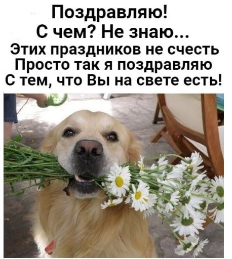 Поздравляю! С чем? Не знаю Этих праздников не счесть Просто так я поздравляю тем, что Вы на свете есть!