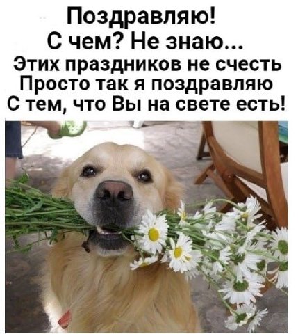 Поздравляю! С чем? Не знаю Этих праздников не счесть Просто так я поздравляю тем, что Вы на свете есть!