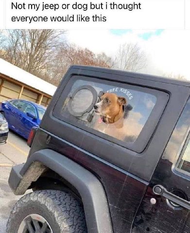 Not my jeep or dog but i thought everyone would like this ale о