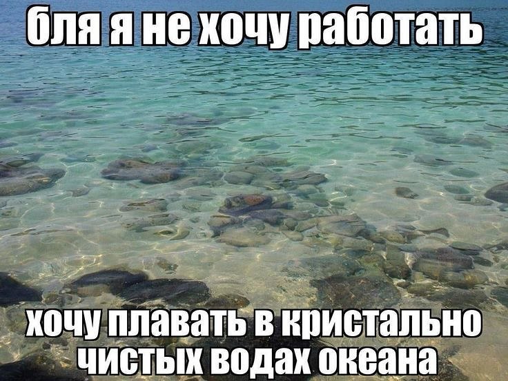 Ona яне хочу работать кочу плавать В кристально. чистых водах