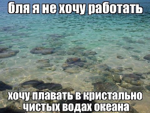 Ona яне хочу работать кочу плавать В кристально. чистых водах