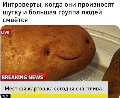 Интроверты, когда они произносят шутку и большая группа людей смеется к. BREAKING NEWS Местная картошка сегодня счастлива