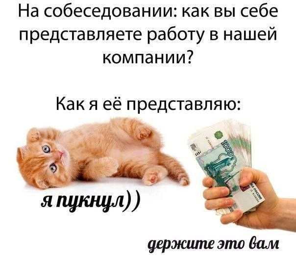 На собеседовании: как вы себе представляете работу в нашей компании? Как я её представляю: япукнул)) держите это вам