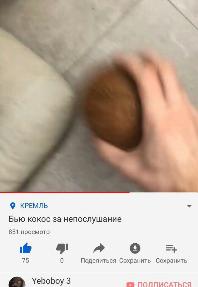 И КРЕМЛЬ Бью кокос за непослушание 851 просмотр 0 Поделиться Сохранить Сохранить Yeboboy 3 ПОЛПИСАТЬСЯ