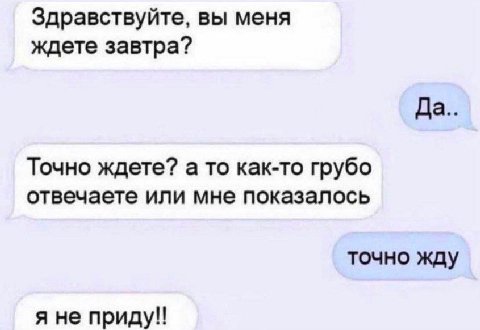 Здравствуйте, вы меня ждете завтра? Да Точно ждете? а то как-то грубо отвечаете или мне показалось точно жду я не приду!!