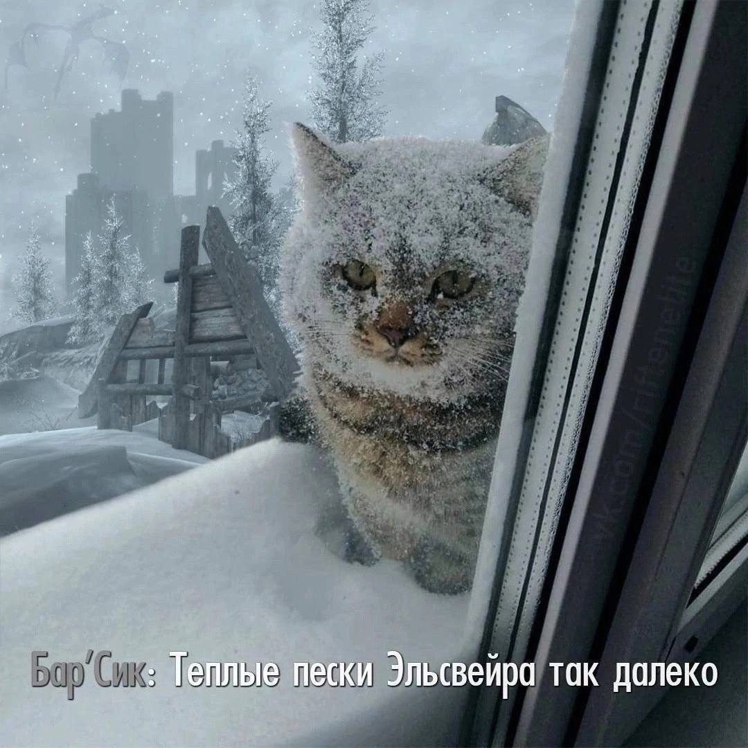 Теплые пески Эльсвейра так далеко