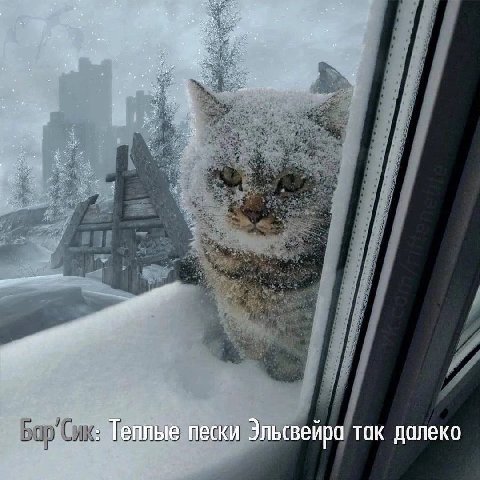 Теплые пески Эльсвейра так далеко