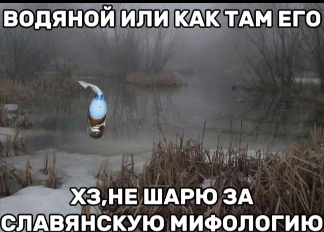 ВОДЯНОЙ ИЛИ КАКТАМ ЕГО -ХЗ,НЕ ШАРЮ 3A СЛАВЯНСКУЮ МИФОЛОГИЮ