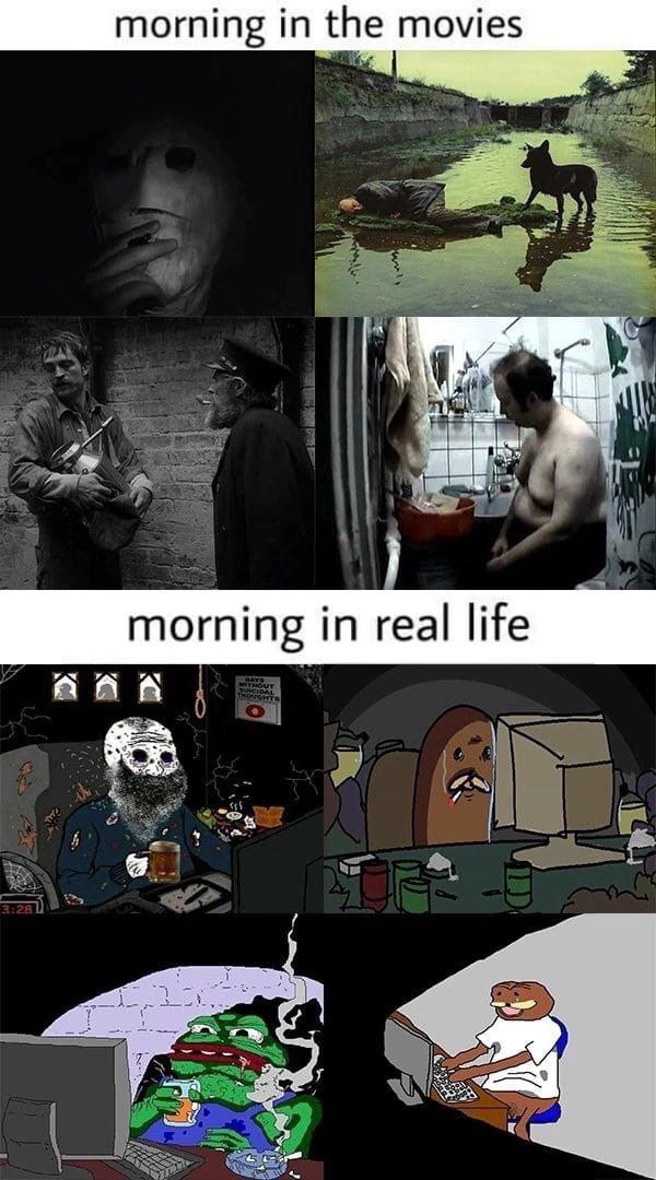 morning real life