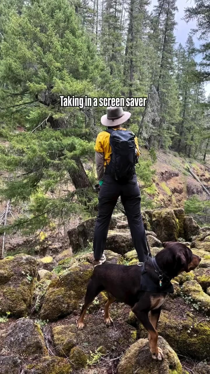 ee, Taking Ш a'screen saver) Е ie an pondering duiege ae