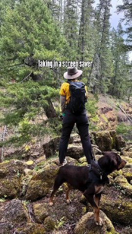 ee, Taking Ш a'screen saver) Е ie an pondering duiege ae