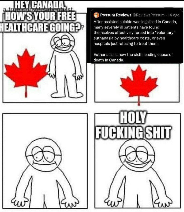 НЕУ CANADA’ Possum Reviews FREE After assisted suicide was legalized in Canada, many severely ill patients have found EALTHCARE GOING? themselves effectively forced into "voluntary" euthanasia healthc