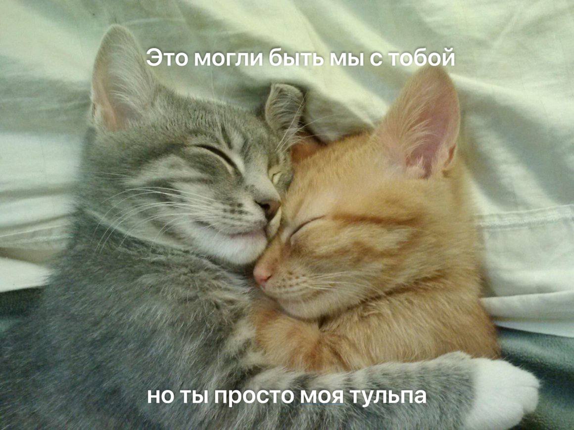 Это могли стабой ты просто моя тульпа