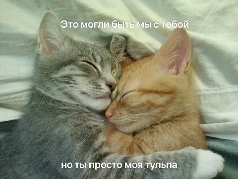 Это могли стабой ты просто моя тульпа