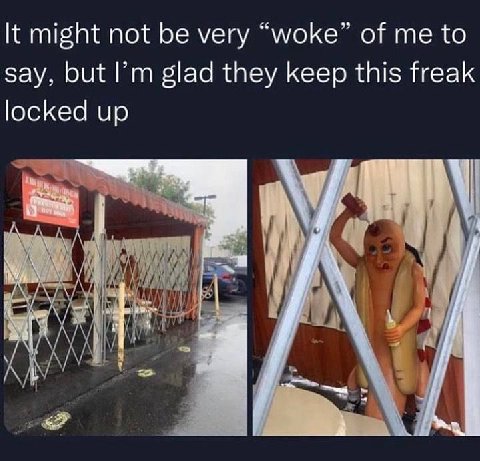 🌭