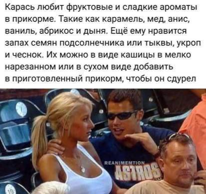 Карась любит фруктовые и сладкие ароматы в прикорме. Такие как карамель, мед, анис, ваниль, абрикос и дыня. Ещё ему нравится запах семян подсолнечника или тыквы, укроп и чеснок. можно в виде кашицы в 
