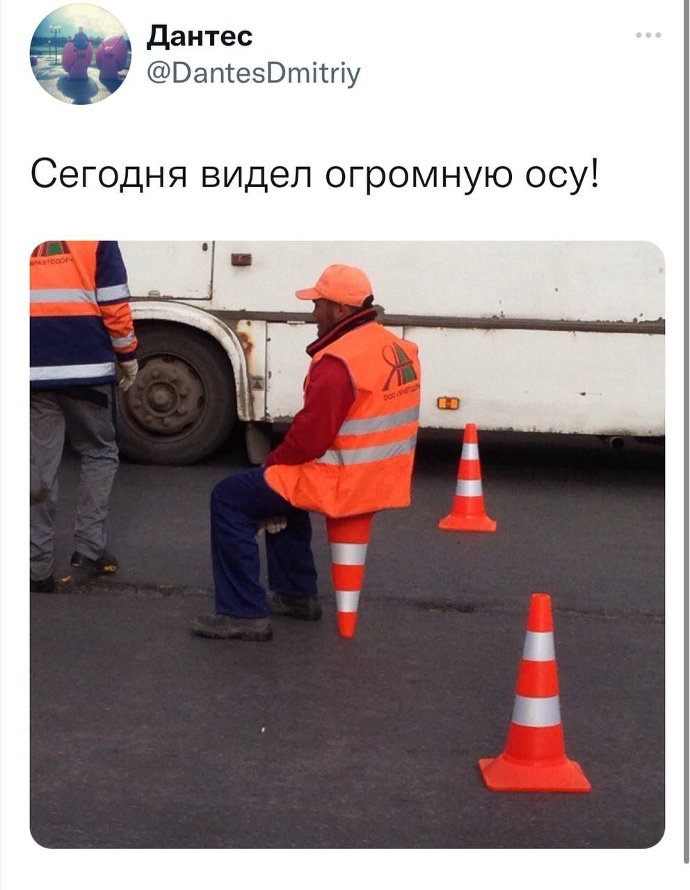 Дантес @DantesDmitriy Сегодня видел огромную осу!