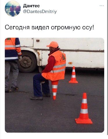 Дантес @DantesDmitriy Сегодня видел огромную осу!
