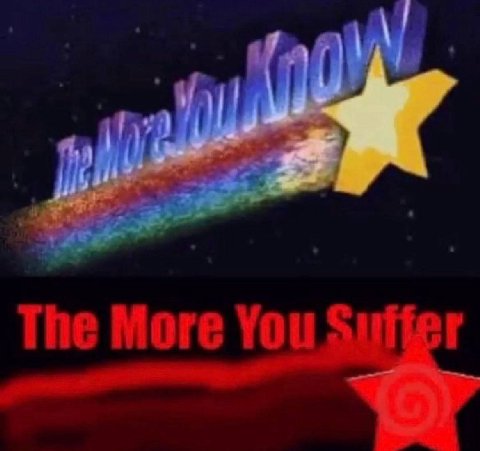 The More You