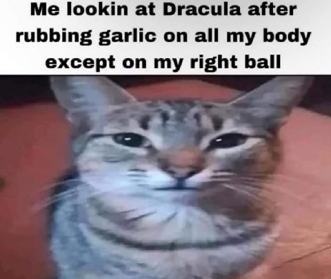Me lookin at Dracula after rubbing garlic on all my body except on my right ball