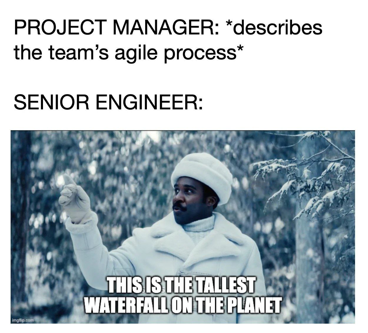 PROJECT MANAGER: *describes the team’s agile SENIOR ENGINEER: Has