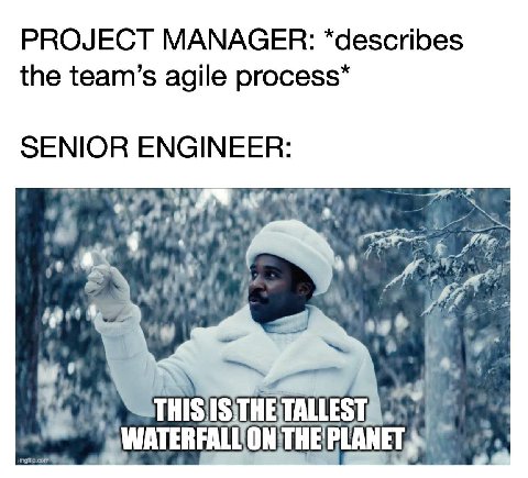 PROJECT MANAGER: *describes the team’s agile SENIOR ENGINEER: Has