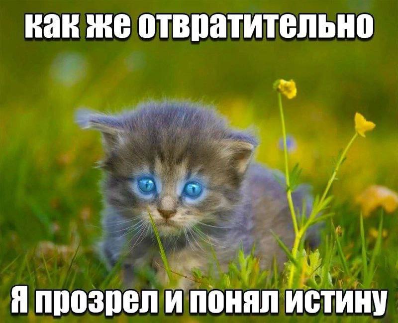 как же отвратительно Я прозрел и понял истину