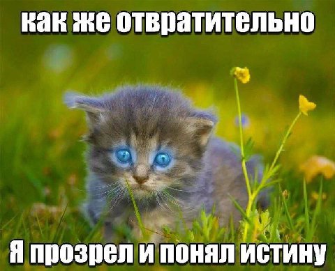 как же отвратительно Я прозрел и понял истину