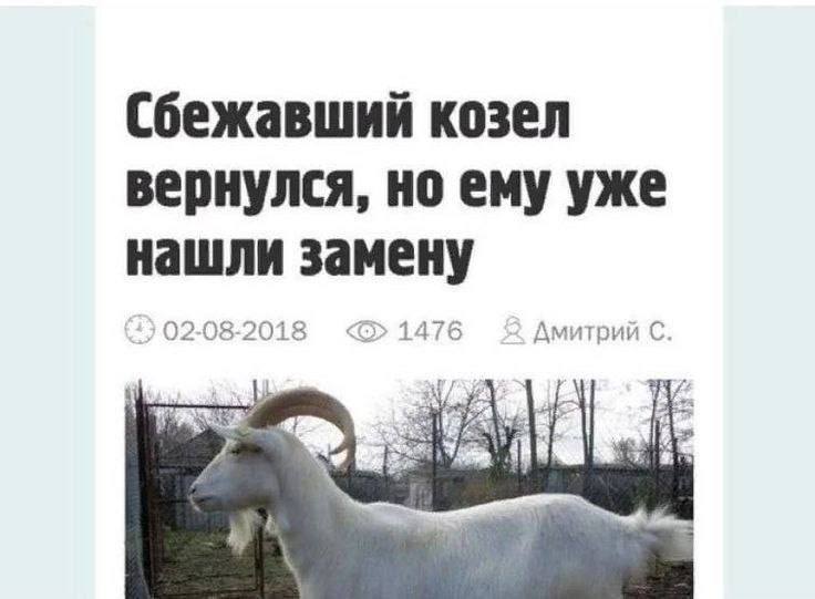 козел вернулся, но ему уже нашли замену 02-08-2018 1476 Амитрий С rer