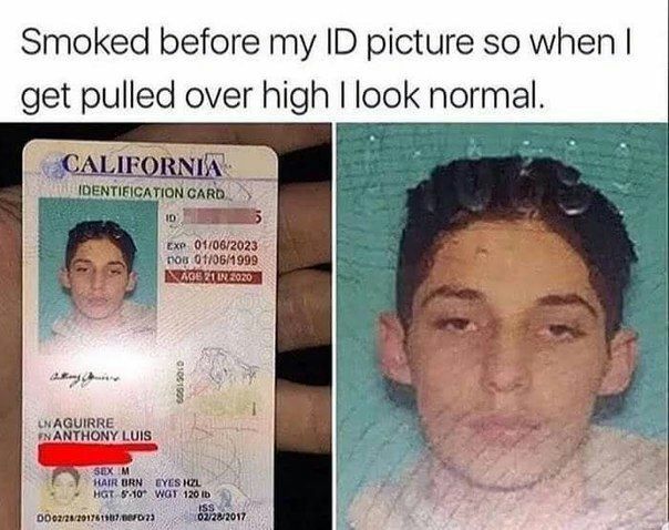 Smoked before my picture so when get pulled over high look normal.
