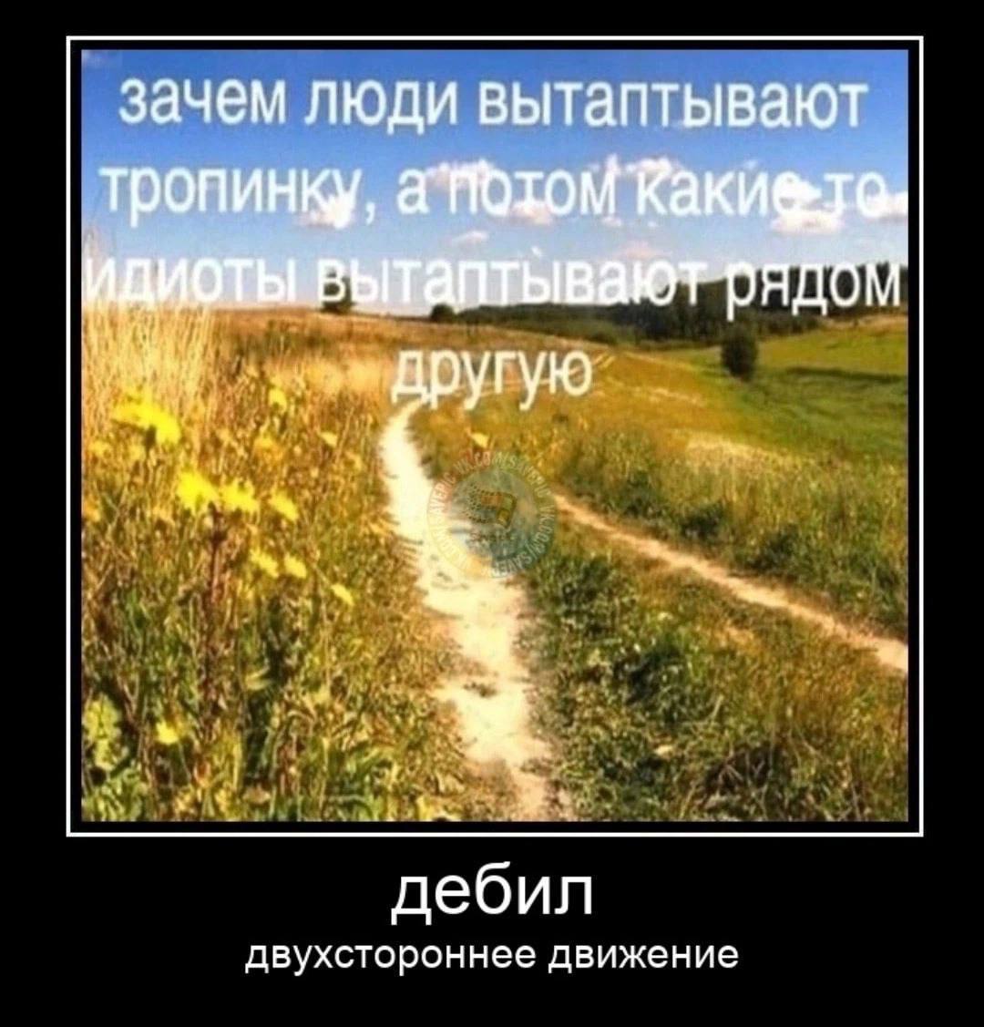 зачем люди вытаптывают тропинку, другую дебил двухстороннее движение