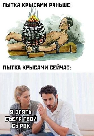 ПЫТКА КРЫСАМИ РАНЬШЕ: ПЫТКА КРЫСАМИ owe Я СЫРОК