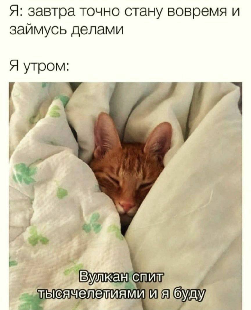 Я: завтра точно стану вовремя и заимусь делами Я утром: a Вулкан буду
