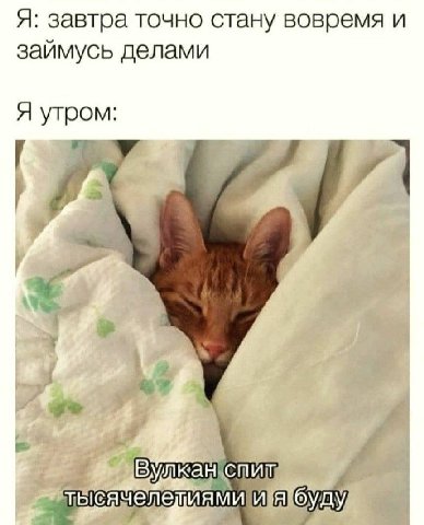 Я: завтра точно стану вовремя и заимусь делами Я утром: a Вулкан буду