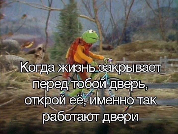 Когда жизнь закрывает перед тобой дверь, открой её, именно так работают двери