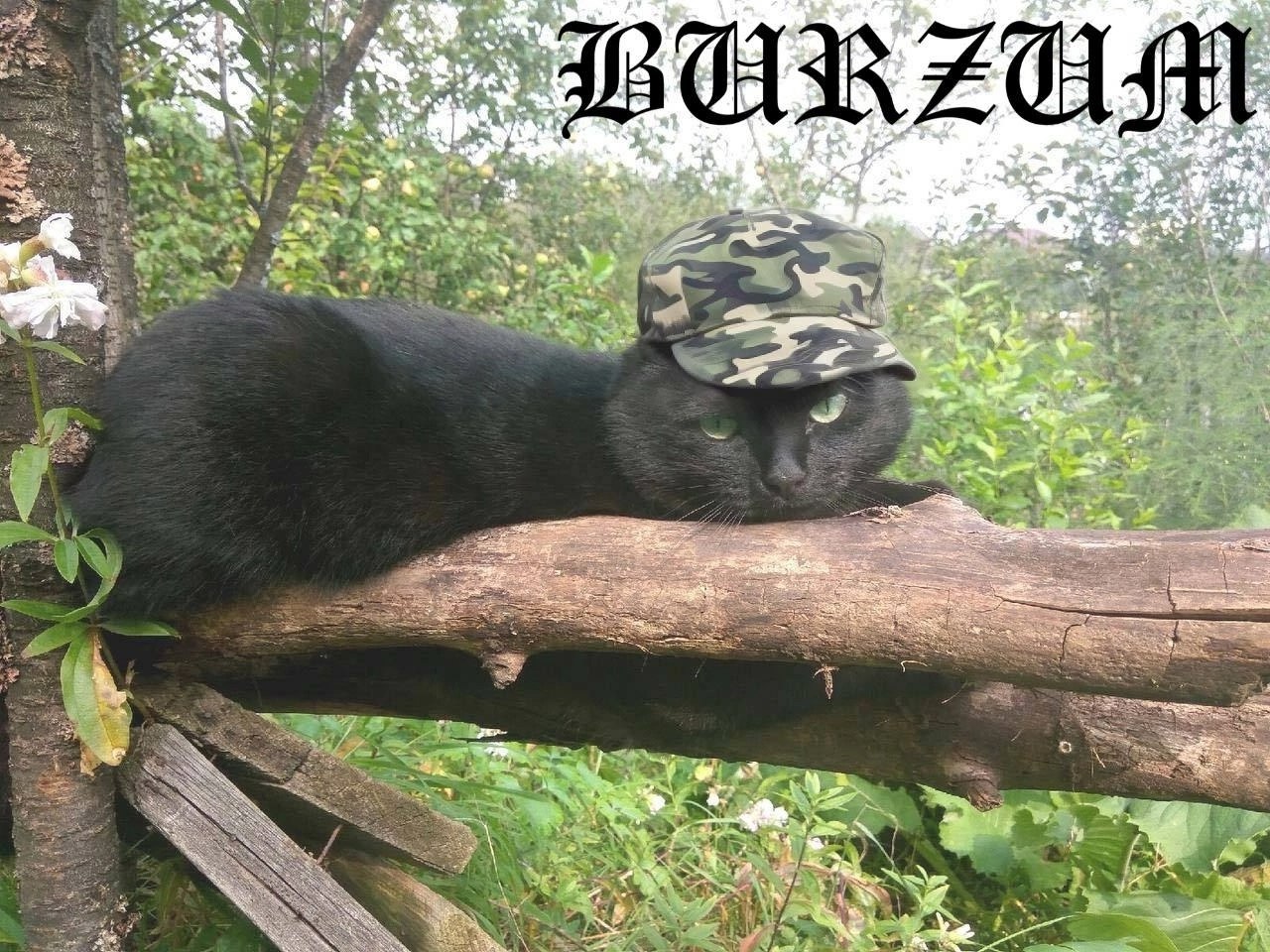 4 a a a ЗОН 4 К 2 $9 the к 4