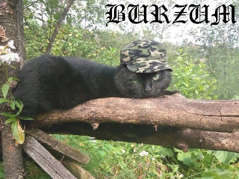 4 a a a ЗОН 4 К 2 $9 the к 4