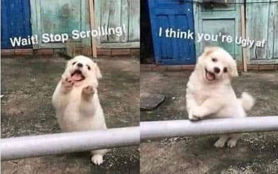 Wait! Stop Scr a think you're Ugly 2