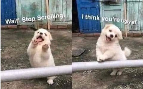 Wait! Stop Scr a think you're Ugly 2