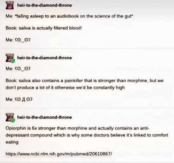 Я heir-to-the-diamond-throne Me: asleep to an audiobook on the science of the gut* Book: saliva is actually filtered blood! Me: heir-to-the-diamond-throne Me: Book: saliva also contains a painkiller t